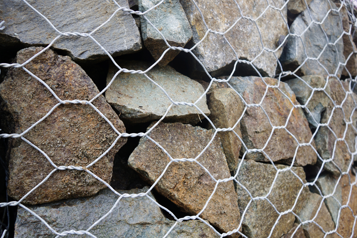 Servizi Geologici
